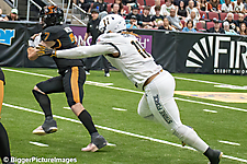 29_IMG_3316-denoise-denoise_1774867030_69ca525634988