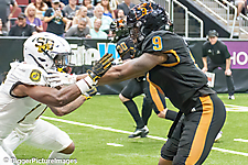 33_IMG_3303-denoise-denoise_1774867035_69ca525b85465