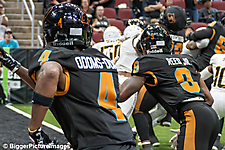 33_IMG_3306-denoise-denoise_1774867036_69ca525c39b0f