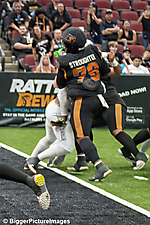 35_IMG_3310-denoise-denoise_1774867037_69ca525d980a2