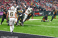 43_IMG_8714-denoise-denoise_1774867042_69ca52628637f