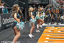 IMG_3143-denoise-denoise_1774867055_69ca526f3845d