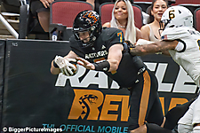 IMG_3210-denoise-denoise_1774867065_69ca52793e11f