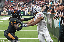 IMG_3219-denoise-denoise_1774867069_69ca527d131ca