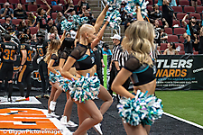 IMG_3255-denoise-denoise_1774867076_69ca52840220d