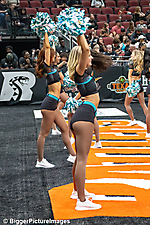 IMG_3275-denoise-denoise_1774867078_69ca528607e9f