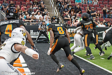 IMG_3309-denoise-denoise_1774867087_69ca528f3aa65