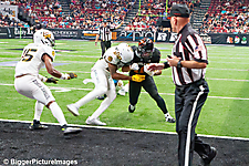 IMG_8712-denoise-denoise_1774867098_69ca529a05813