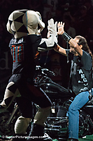 IMG_4208_LR