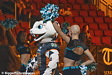 05_IMG_3395-denoise-denoise_1776068002_69dca5a290a68