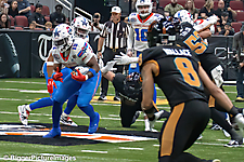 06_IMG_3476-denoise-denoise_1776068004_69dca5a48737f