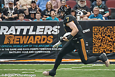 07_IMG_3766-denoise-denoise_1776068006_69dca5a648f60