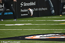 10_IMG_4120-denoise-denoise_1776068007_69dca5a7b6cb5