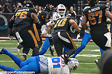 11_IMG_3544-denoise-denoise_1776068009_69dca5a93f794