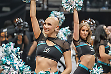 35_IMG_3530-denoise-denoise_1776068055_69dca5d779589