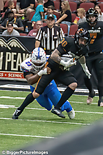 69_IMG_3875-denoise-denoise_1776068100_69dca6043547a