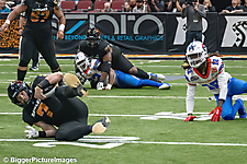 88_IMG_3884-denoise-denoise_1776068108_69dca60c13ffb