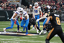 IMG_3475-denoise-denoise_1776068126_69dca61e754d6