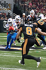 IMG_3477-denoise-denoise_1776068127_69dca61f62877