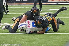 IMG_3706-denoise-denoise_1776068147_69dca633b4a88