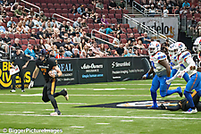 IMG_3887-denoise-denoise_1776068202_69dca66a2d094