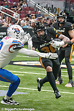 IMG_3912-denoise-denoise_1776068208_69dca6703b9b2