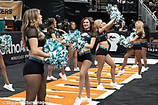 IMG_4047-denoise-denoise_1776068234_69dca68ab6ab6