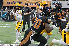 12_IMG_4400-denoise-denoise_1777329005_69efe36d5227c