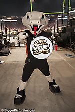 12_IMG_8867-denoise-denoise_1777329008_69efe370e611f