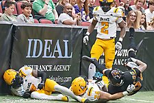 17_IMG_4227-denoise-denoise_1777329019_69efe37b73d1f