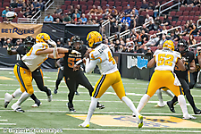 IMG_4179-denoise-denoise_1777329094_69efe3c68163c