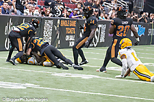 IMG_4181-denoise-denoise_1777329097_69efe3c9263b7