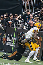 IMG_4192-denoise-denoise_1777329105_69efe3d1a2371