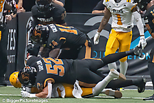 IMG_4201-denoise-denoise_1777329112_69efe3d83d7f6