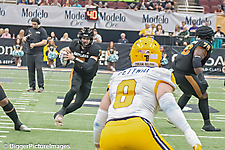 IMG_4228-denoise-denoise_1777329124_69efe3e43ee6e