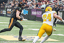 IMG_4231-denoise-denoise_1777329128_69efe3e820f8a