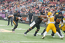 IMG_4247-denoise-denoise_1777329142_69efe3f68f31e