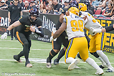 IMG_4251-denoise-denoise_1777329146_69efe3fa15fa2