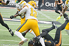 IMG_4296-denoise-denoise_1777329166_69efe40e0fc85