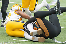 IMG_4301-denoise-denoise_1777329169_69efe4111cbf9