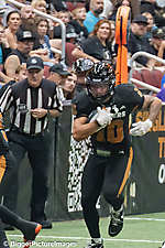 IMG_4312-denoise-denoise_1777329177_69efe41988a04