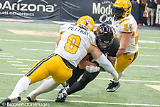 IMG_4338-denoise-denoise_1777329202_69efe4323e39d