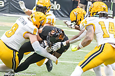 IMG_4339-denoise-denoise_1777329204_69efe43458c1d