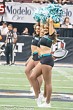 IMG_4346-denoise-denoise_1777329207_69efe437c633d