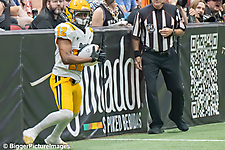 IMG_4387-denoise-denoise_1777329233_69efe451125bf