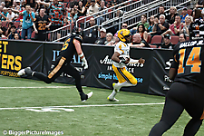 IMG_4414-denoise-denoise_1777329256_69efe468758ed