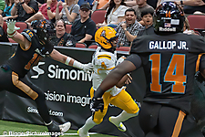 IMG_4416-denoise-denoise_1777329258_69efe46a7fbc0