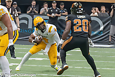 IMG_4419-denoise-denoise_1777329259_69efe46bebc36