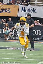 IMG_4426-denoise-denoise_1777329262_69efe46e2d529