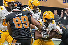 IMG_4436-denoise-denoise_1777329266_69efe4722aa43